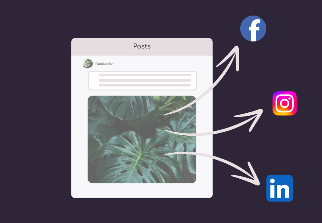 Illustration of cross platform posting. Shows a post being published to instagram, facebook and linkedin.