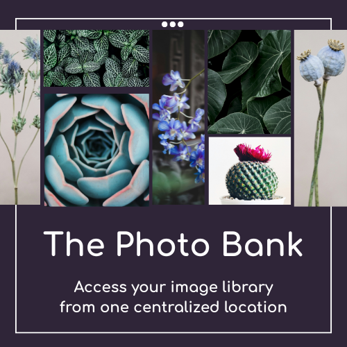 Photo Bank: Your Visual Content Library, All in One Place
