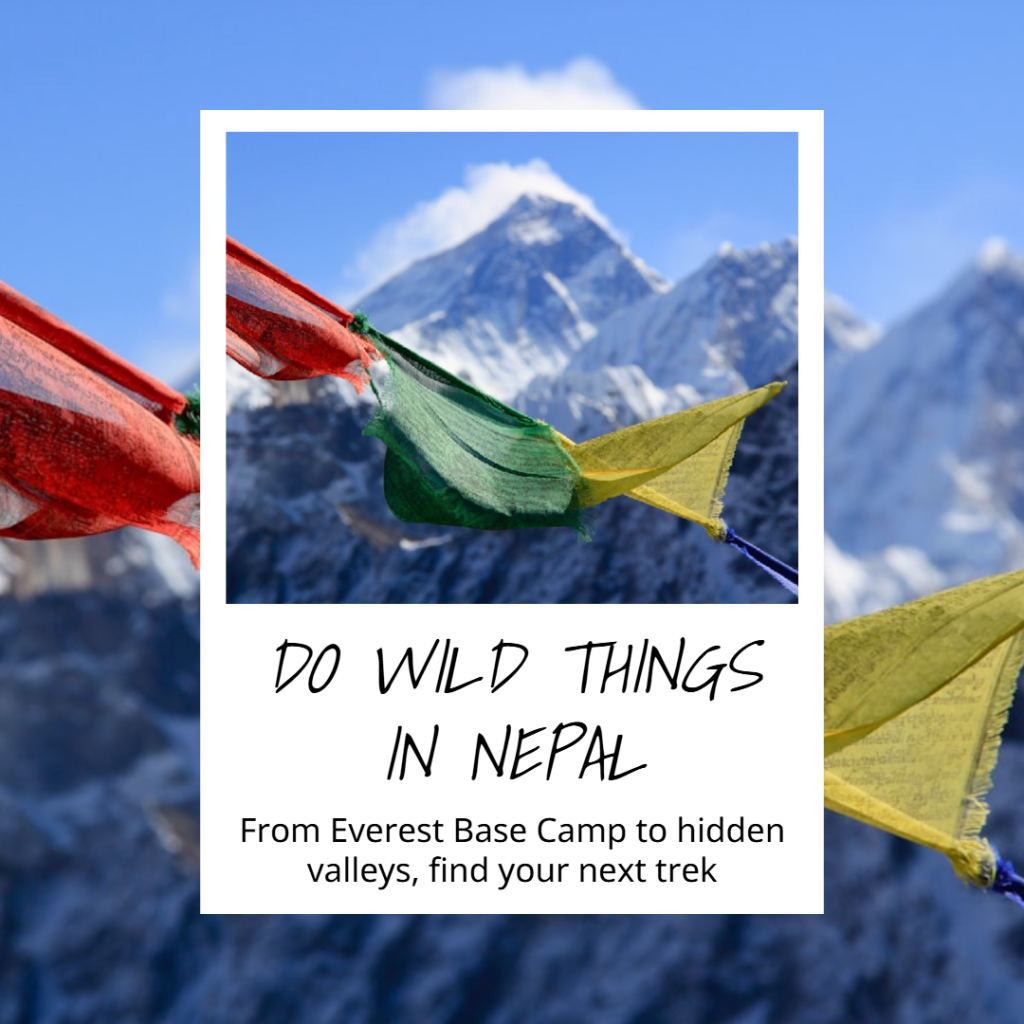 Social media to promote travel in Nepal