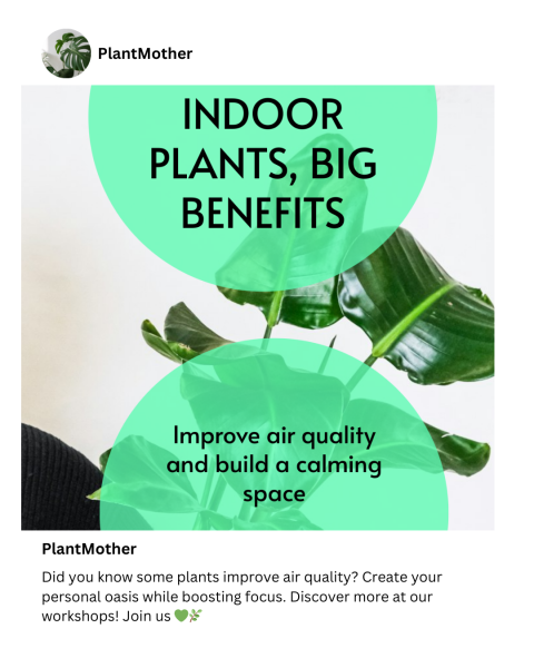 plantmother2